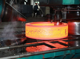 Ring Forging